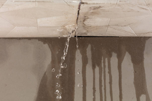 Professional Water Damage Inspection technician working in Williamsport, MD